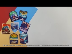 Tissu fait sur commande de sergé de correction brodé par couleur mignonne de M. Wolf 5 avec la frontière de broderie