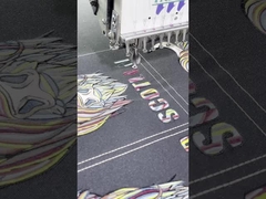 Le fer de broderie sur le sac corrige les couleurs lavables de PMS personnalisables