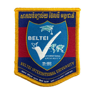 La lettre partielle uniforme de broderie raccorde le fer sur des corrections pour le logo d'école