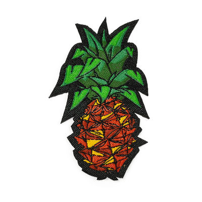 Les corrections écologiques de fils colorés portent des fruits les corrections tissées de label