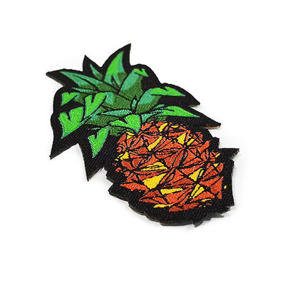 Les corrections écologiques de fils colorés portent des fruits les corrections tissées de label
