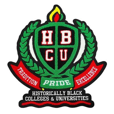 La broderie de Chenille d'université raccorde/correction faite sur commande de veste de fac