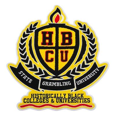 La broderie de Chenille d'université raccorde/correction faite sur commande de veste de fac